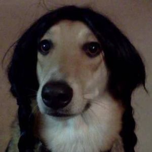 Meet your Posher, Deborah